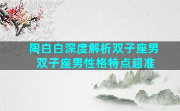 陶白白深度解析双子座男 双子座男性格特点超准